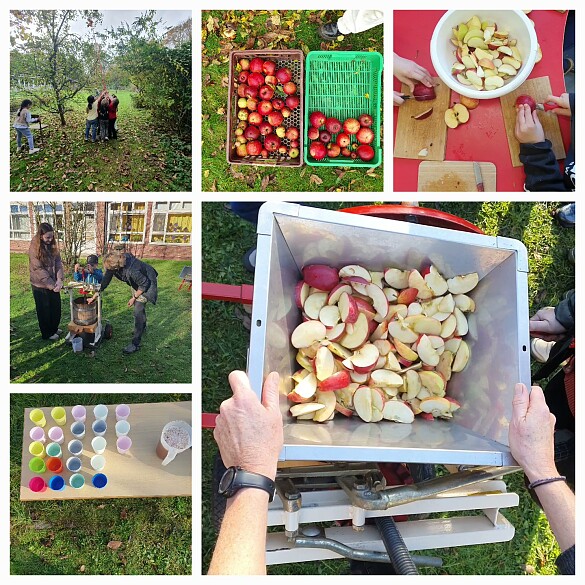 Collage aus Fotos die zeigen wie Apfelsaft gepresst wird