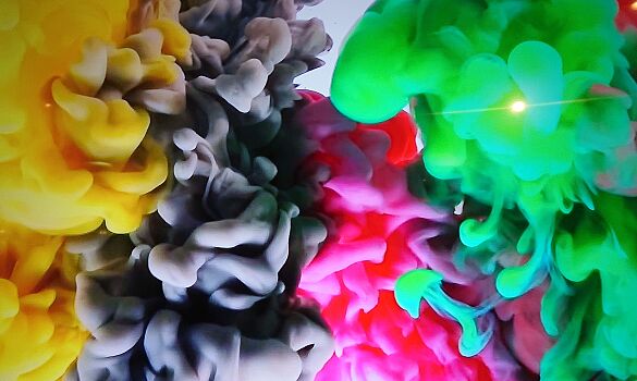 Wir lassen alle Farben auf uns wirken