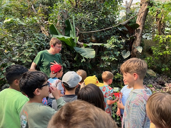 Tropische Schmetterlinge