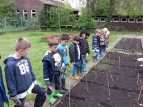 1b im Schulgarten
