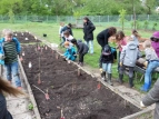 1a im Schulgarten