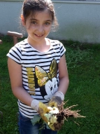 Alma findet eine zerknabberte Kohlrabiknolle