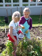 Rieke und Lilli sammeln Ringelblumensamen