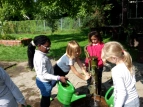 Schulgarten 2017 