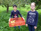 Unsere Ernte