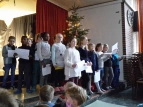 Schnabeltiere als Chor