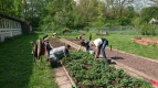 Gartenarbeit im Schulgarten