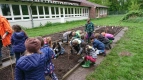 Schmetterlinge 1b