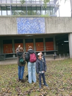 Mosaik